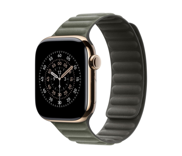 Apple Pasek magnetyczny 46 mm S/M szałwiowy - 1362617 - zdjęcie
